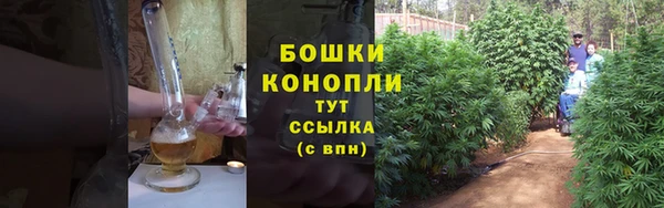 дурь Горняк