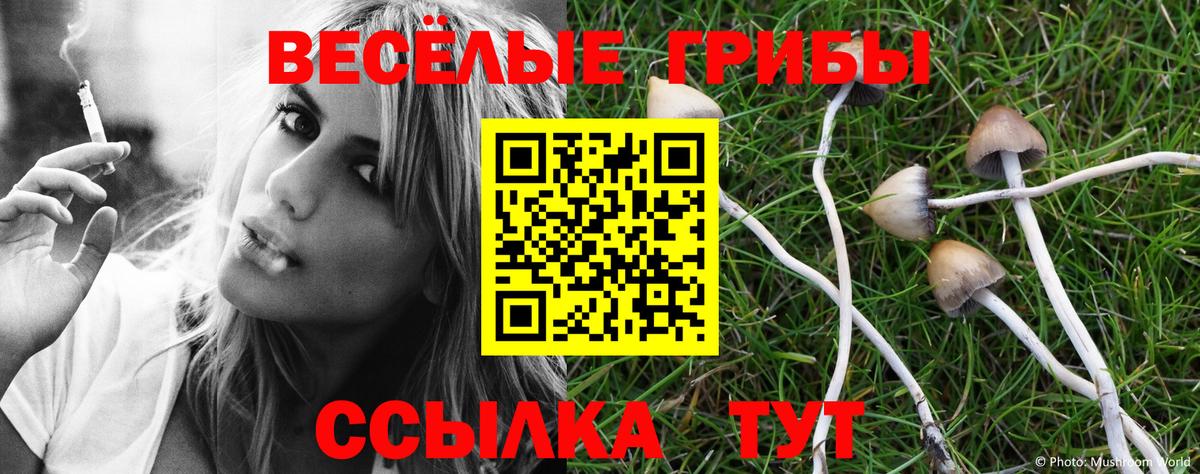 Псилоцибиновые грибы Magic Shrooms Железногорск