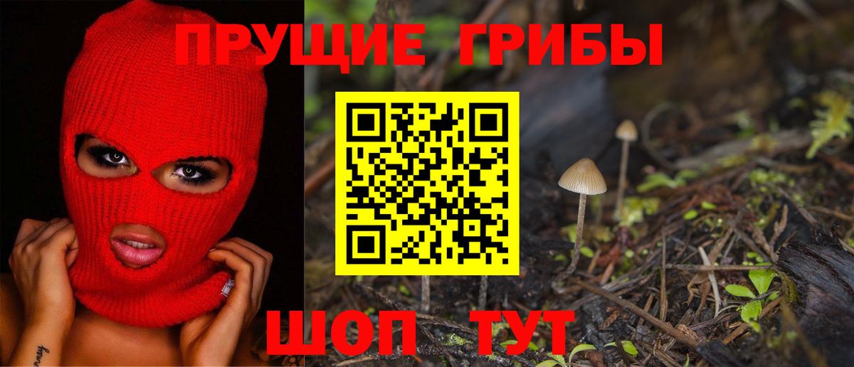 Галлюциногенные грибы Magic Shrooms  Вход с VPN  Галлюциногенные грибы Magic Shrooms  Железногорск 